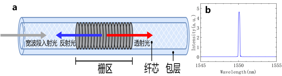 图 1 a.光纤光栅结构图 b.实测λB=1550 nm光纤光栅的反射光谱